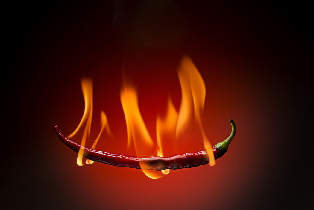 Glasbild Hot Chili in 90 x 60 cm | Glas Star