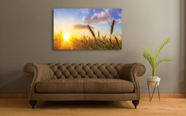 Kornfeld Glasbild individualisierbar bestellen.