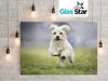 Glasbild 6mm in 100 x 150cm mit eigenem Motiv | Glas Star